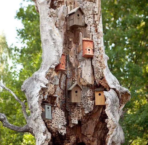 Дом отдыха Linnumaja Уулу